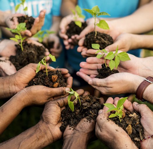 Community Trees Campaign