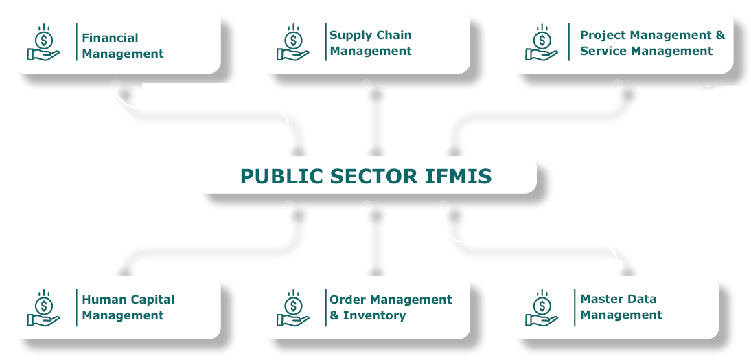 Integrated Financial Management Information System